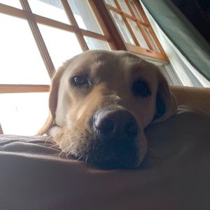 Meet your Posher, Gianna